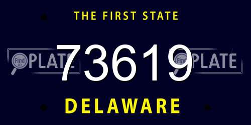 73619 Delaware License Plate