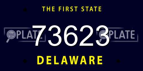 73623 Delaware License Plate