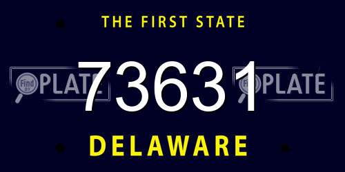 73631 Delaware License Plate