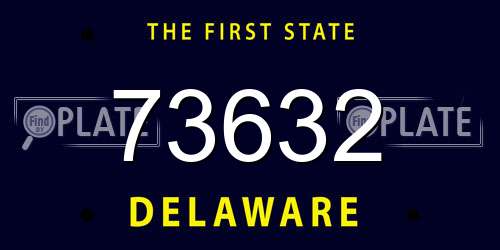 73632 Delaware License Plate