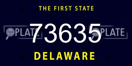 73635 Delaware License Plate