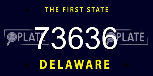 73636 Delaware License Plate
