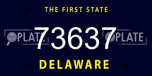 73637 Delaware License Plate