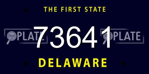 73641 Delaware License Plate