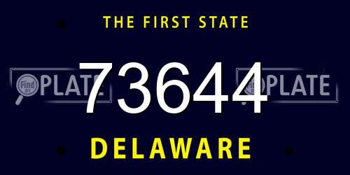 73644 Delaware License Plate
