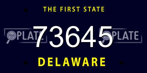 73645 Delaware License Plate