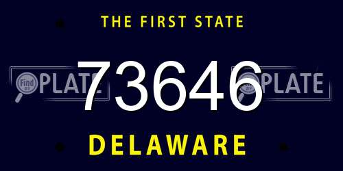 73646 Delaware License Plate