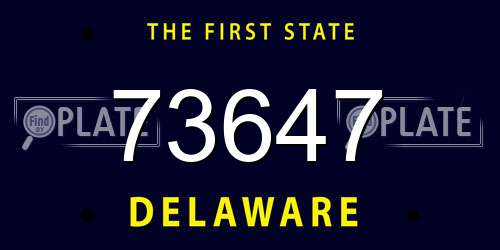 73647 Delaware License Plate