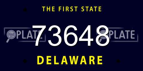 73648 Delaware License Plate