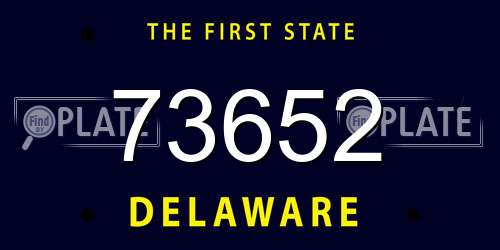73652 Delaware License Plate