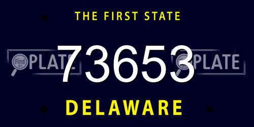 73653 Delaware License Plate
