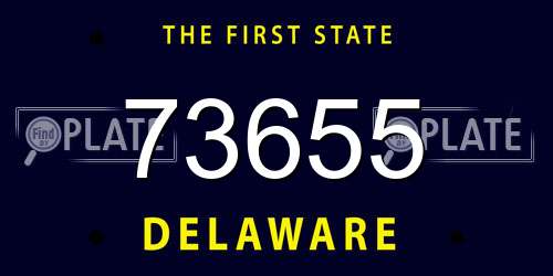 73655 Delaware License Plate