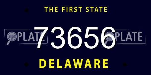 73656 Delaware License Plate