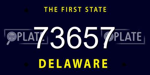 73657 Delaware License Plate