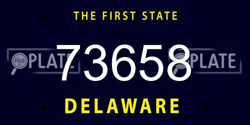 73658 Delaware License Plate