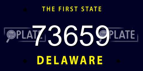 73659 Delaware License Plate