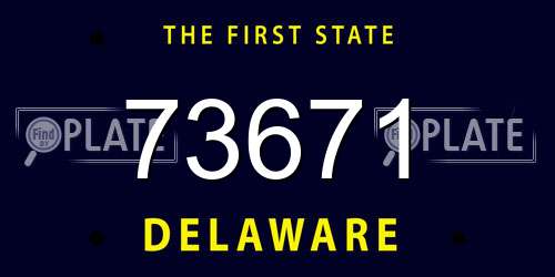 73671 Delaware License Plate