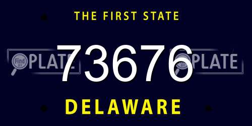 73676 Delaware License Plate