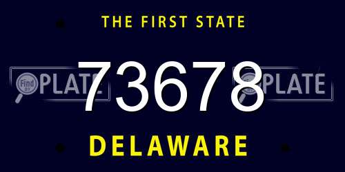 73678 Delaware License Plate
