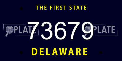 73679 Delaware License Plate