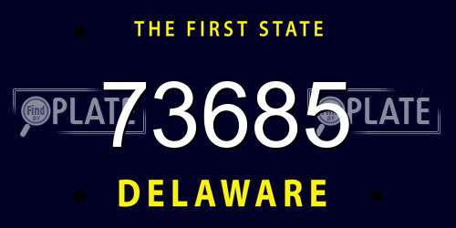 73685 Delaware License Plate