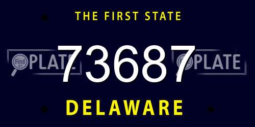 73687 Delaware License Plate