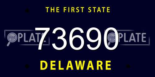 73690 Delaware License Plate