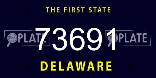 73691 Delaware License Plate