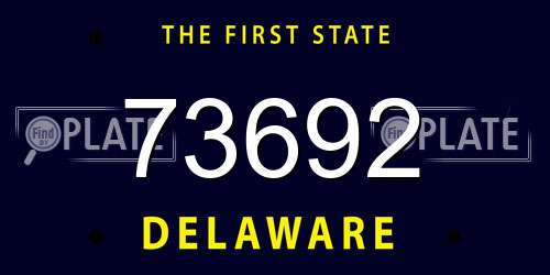 73692 Delaware License Plate