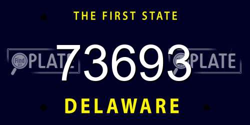 73693 Delaware License Plate