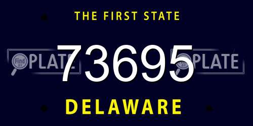 73695 Delaware License Plate