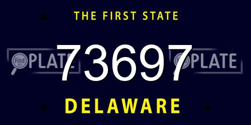 73697 Delaware License Plate