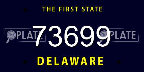 73699 Delaware License Plate