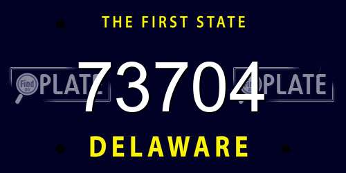 73704 Delaware License Plate