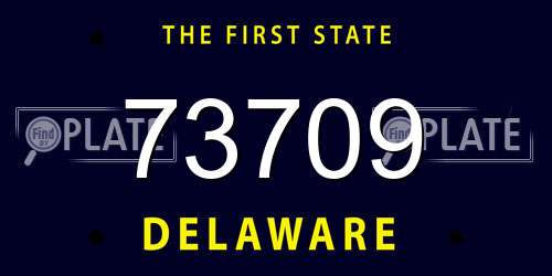 73709 Delaware License Plate
