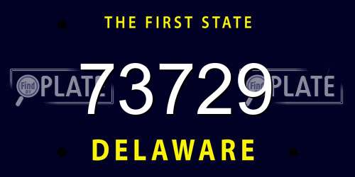 73729 Delaware License Plate