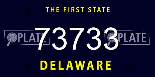 73733 Delaware License Plate