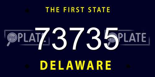 73735 Delaware License Plate
