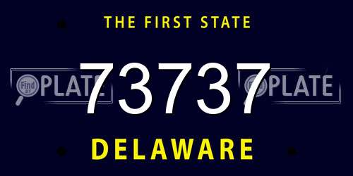 73737 Delaware License Plate