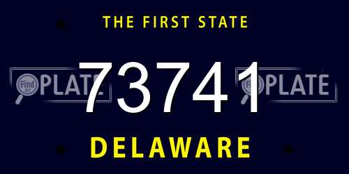 73741 Delaware License Plate