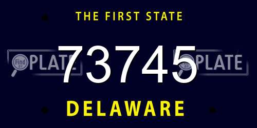73745 Delaware License Plate
