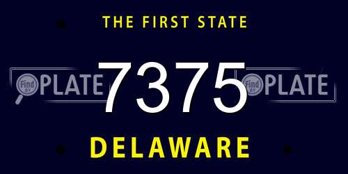 7375 Delaware License Plate