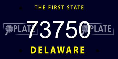 73750 Delaware License Plate