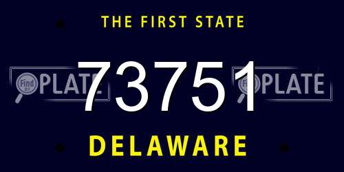 73751 Delaware License Plate