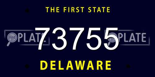 73755 Delaware License Plate