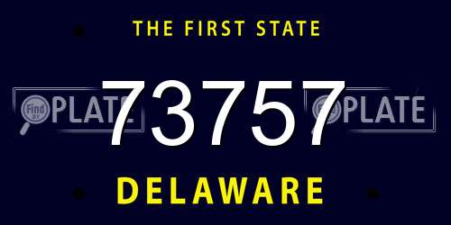 73757 Delaware License Plate