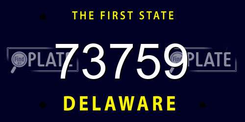 73759 Delaware License Plate