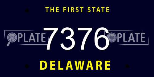7376 Delaware License Plate