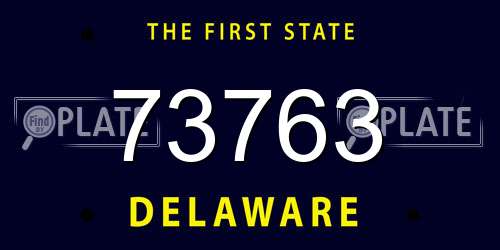 73763 Delaware License Plate