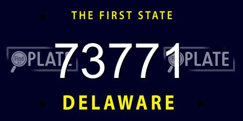 73771 Delaware License Plate